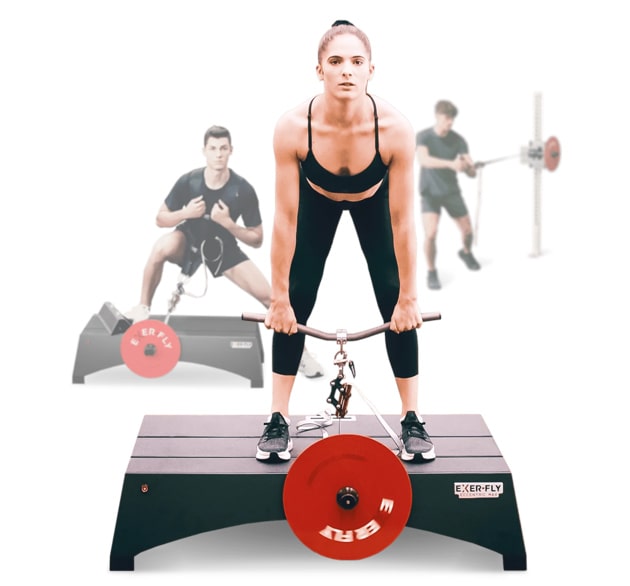 ExerFly