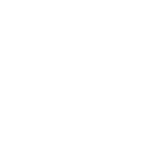 magento-dedicated-developer