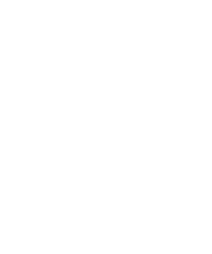 Shopify Maintenance Service