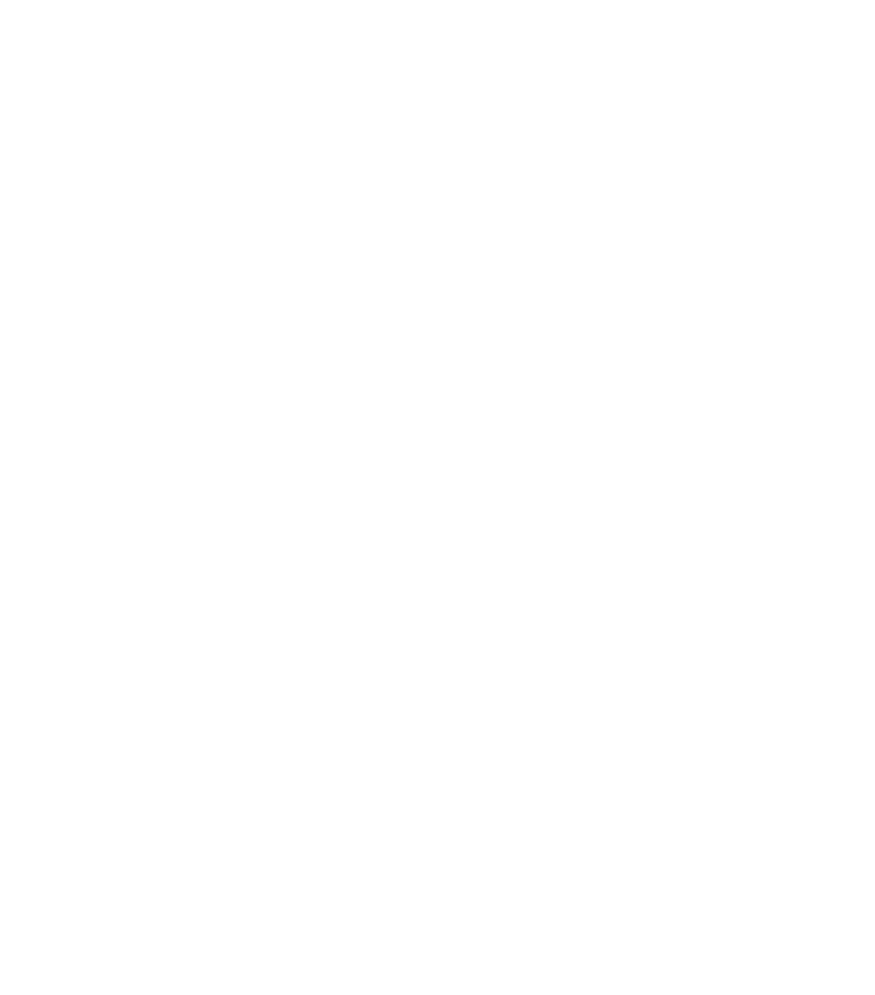 Shopify Maintenance Service